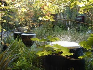 Rain Drum Garden