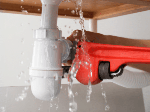 Puyallup Plumbing Repairs