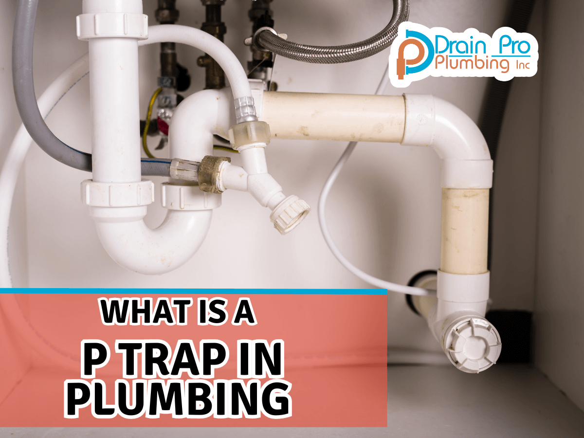 What Is A P Trap In Plumbing Drain Pro Plumbing
